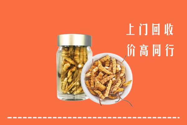 附近收购：宿迁回收冬虫夏草
